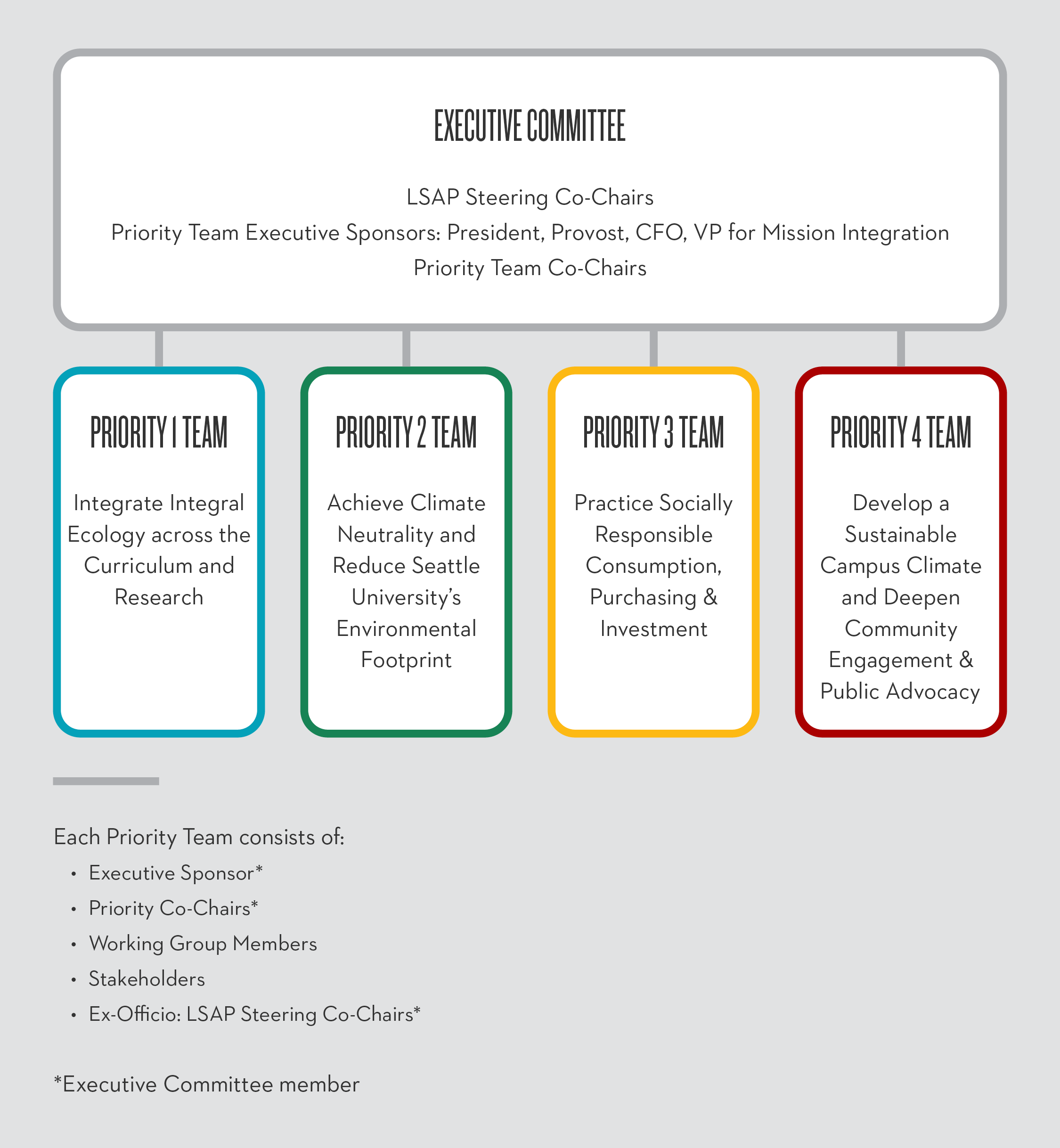 LSAP Leadership structure. Executive committee on top of the hierarchical diagram and one team for each of the four priorities on the bottom of the structure.